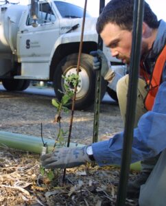 Dave planting an oak with water truck in background