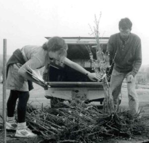 Dave and Joan selecting bare root fruit trees for distribution.