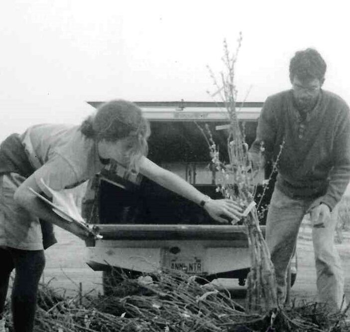 Dave and Joan selecting bare root fruit trees for distribution.