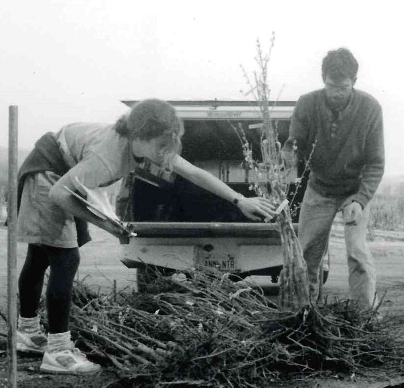 Dave and Joan selecting bare root fruit trees for distribution.